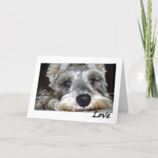 HUND: Mini German Schnauzer w/Kärlek Kort