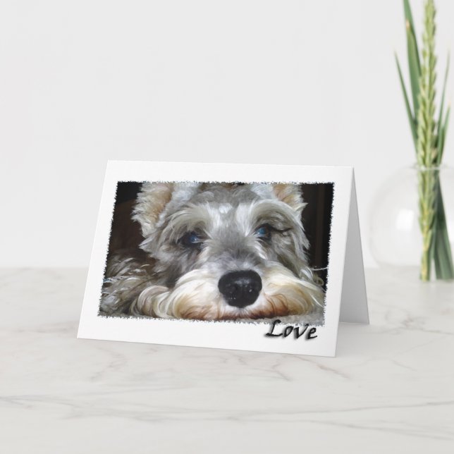HUND: Mini German Schnauzer w/Kärlek Kort (Framsida)