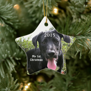 Hund Mitt första julfoto-prydnadsföremål Julgransprydnad Keramik