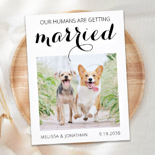 Hund Modern Pet Photo Förlovning sparar datumangiv Meddelande Vykort