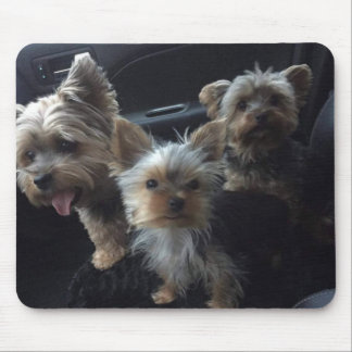 Hund Mousepad Musmatta