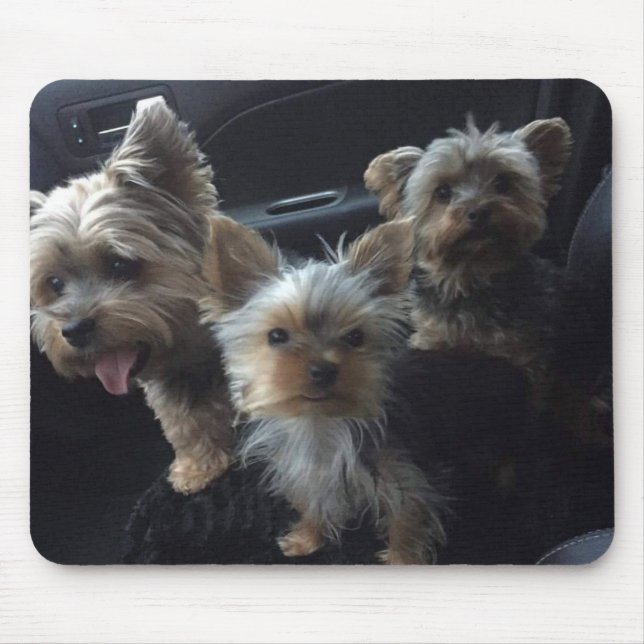 Hund Mousepad Musmatta (Framsidan)