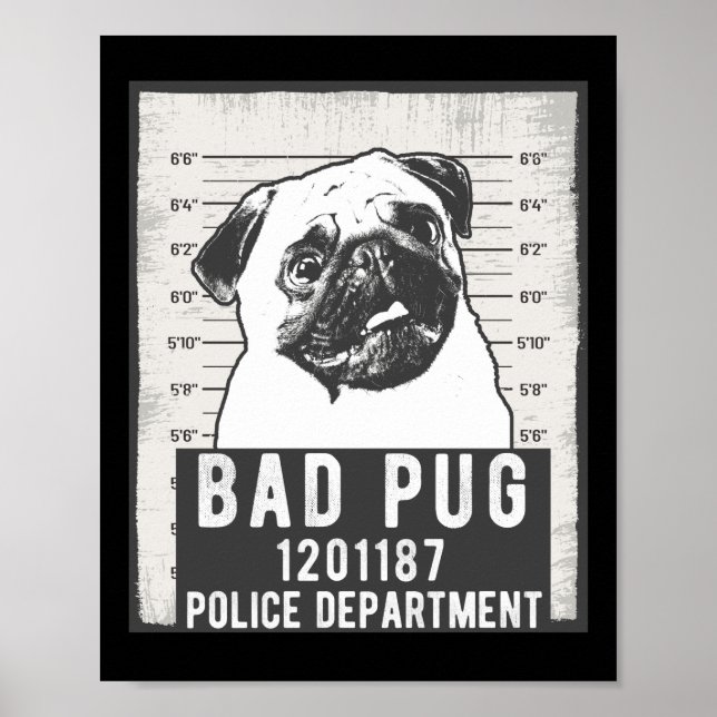 Hund Mugg Shot Criminal Pug Poster (Framsidan)