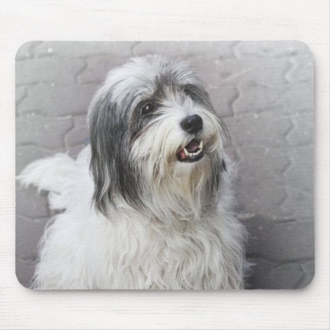 Hund musknapp musmatta (Framsidan)