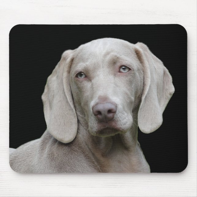 hund musmatta (Framsidan)