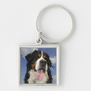 Hund närbild fyrkantig silverfärgad nyckelring