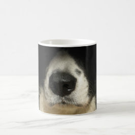 Hund näsa nära kaffemugg