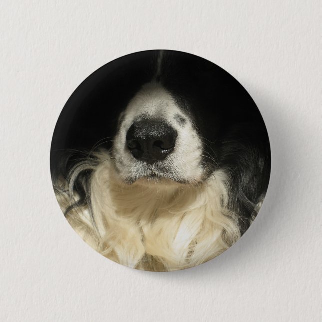 Hund näsa nära knapp (Framsida)
