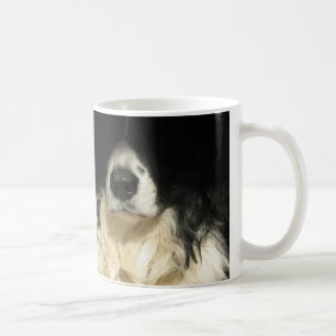 Hund näsa nära mugg