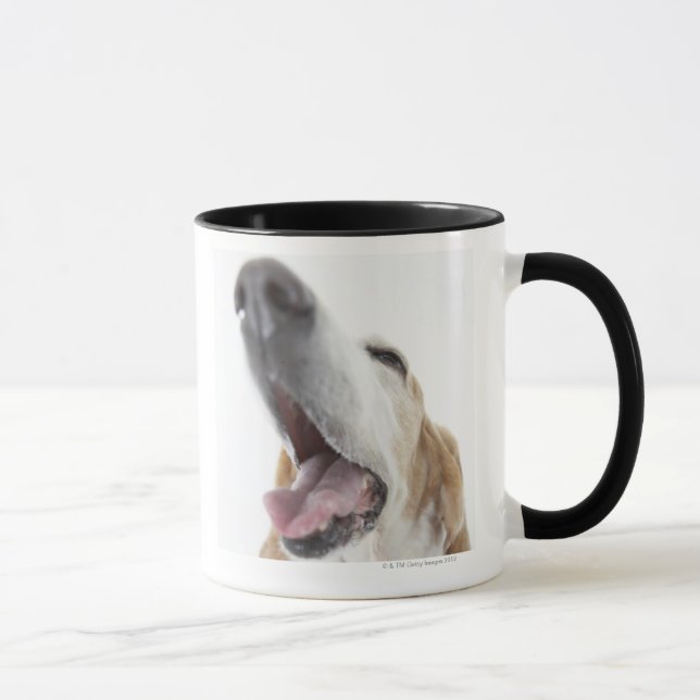 Hund näsa, närbild mugg (Höger)