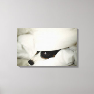 Hund näsa som sticker ut från sängen canvastryck