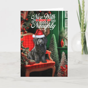 Hund Naughty eller Nice, svart jul-labradoodle Helgkort