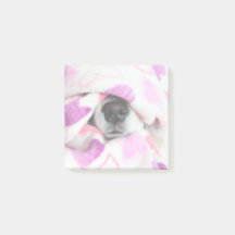 Hund Nose Post it Notes