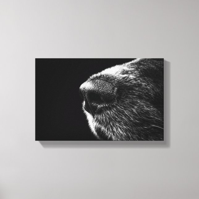 Hund Nose Wrapped Canvas (Framsida)
