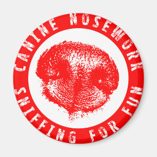 Hund- Nosework som sniffar för roligt Magnet