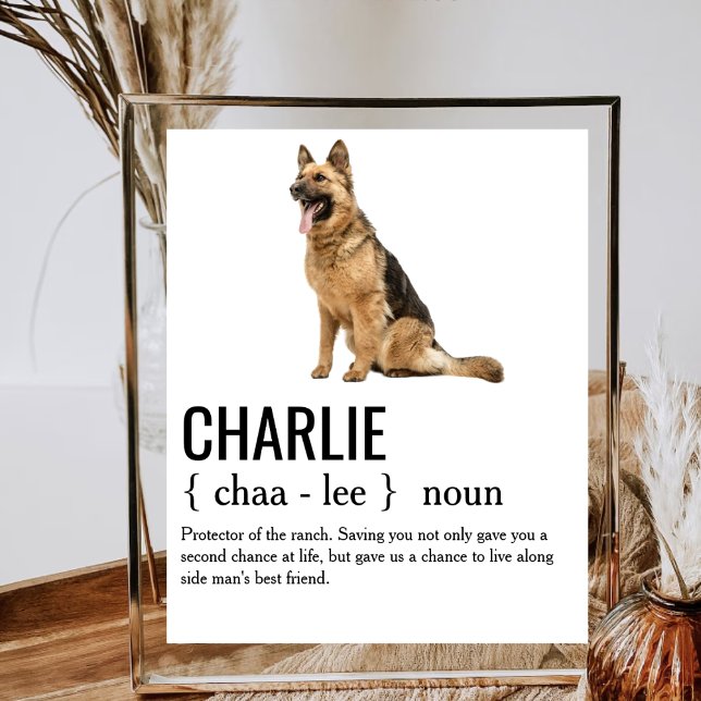 Hund Noun Definition Hund Pappa Mamma Hund älskare Poster (Skapare uppladdad)
