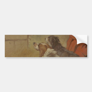 Hund och bojkollie (två Hundar) (djur) Bildekal