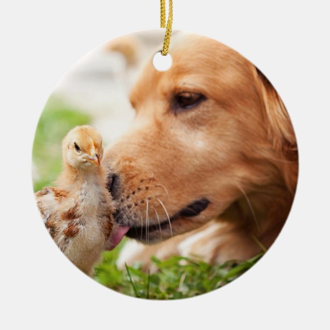 Hund och chick julgransprydnad keramik (Framsidan)