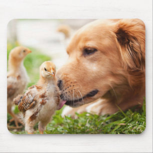 Hund och chick musmatta