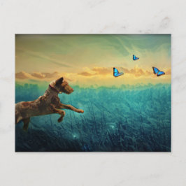 Hund och fjäril vykort