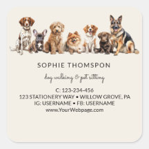 Hund och husdjur hund som går