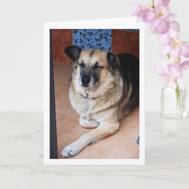 Hund och kakelporträtt kort (Orkide)