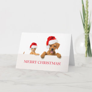 HUND och KAT för god jul-hälsningskort Kort