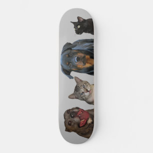 Hund och kateboard Skateboard Wood