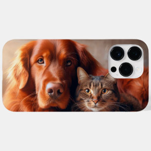 Hund och katt