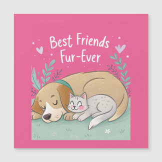 Hund och katt bästa vänner för evigt