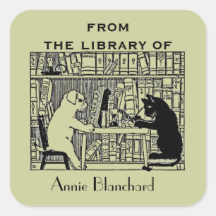 Hund och Katt i Bibliotek Fyrkantigt Klistermärke