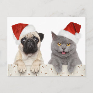 Hund och katt i röd jul helg vykort
