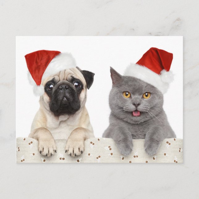 Hund och katt i röd jul helg vykort (Framsida)