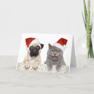 Hund och katt i röd jul helgkort