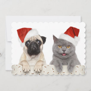 Hund och katt i röd julhatt julkort