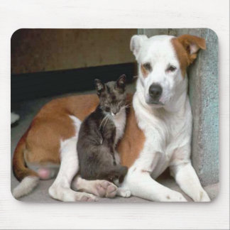 Hund och katt Mousepad Musmatta