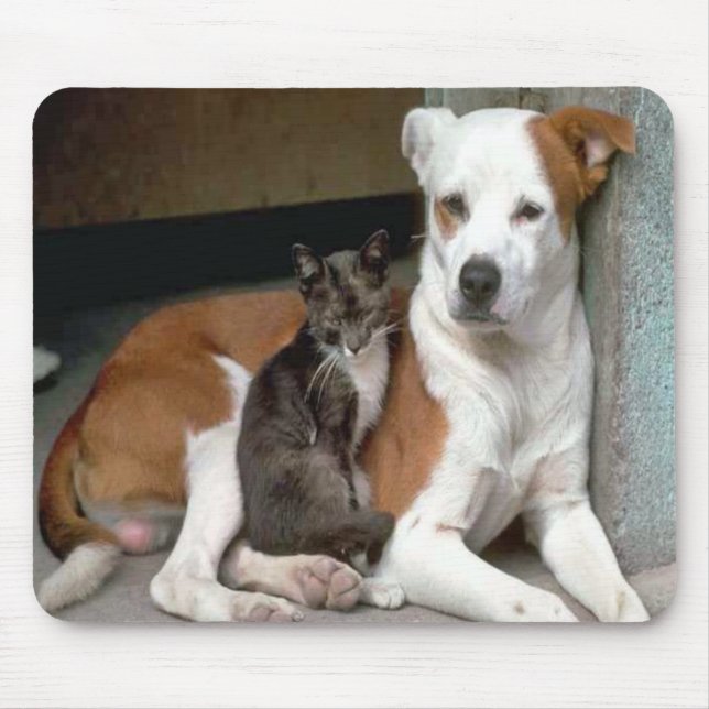 Hund och katt Mousepad Musmatta (Framsidan)