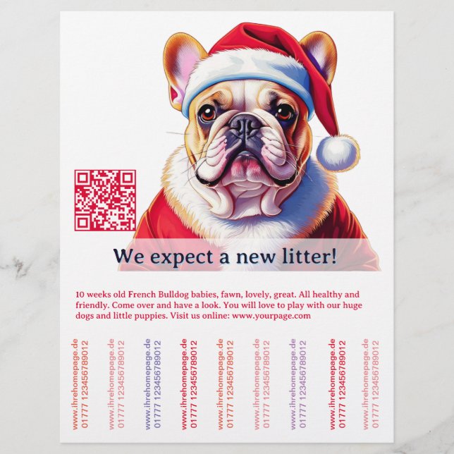 Hund och katt reklamblad (Framsidan)