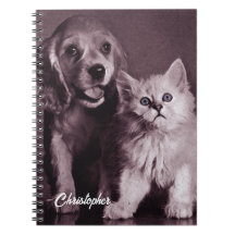 Hund och katt, Tittar upp Personlig