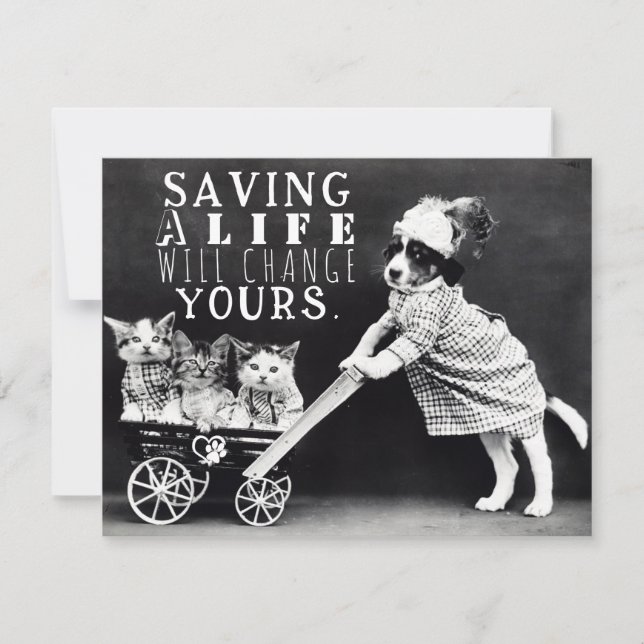 Hund- och kattadoption och hälsningskort för Räddi Julkort (Framsida)