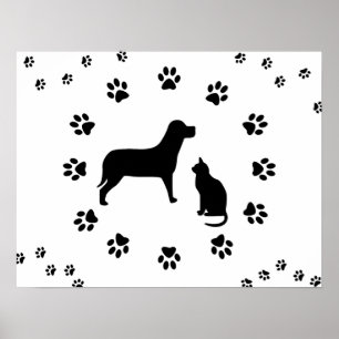 Hund- och kattaffisch poster