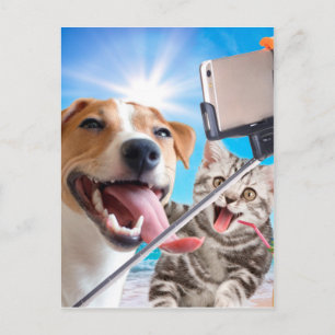Hund- och kattfotograferad selfie på mobil vykort