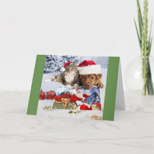 Hund- och kattjulkort med jultomt och iller helgkort