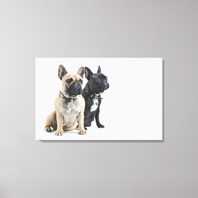 Hund och lyhördhet canvastryck (Framsida)