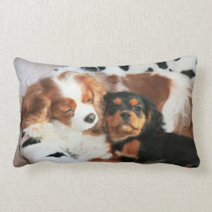 Hund och Puppy Cavalier Kung Charles Spain Pillow Lumbarkudde