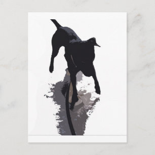 hund och skugga vykort