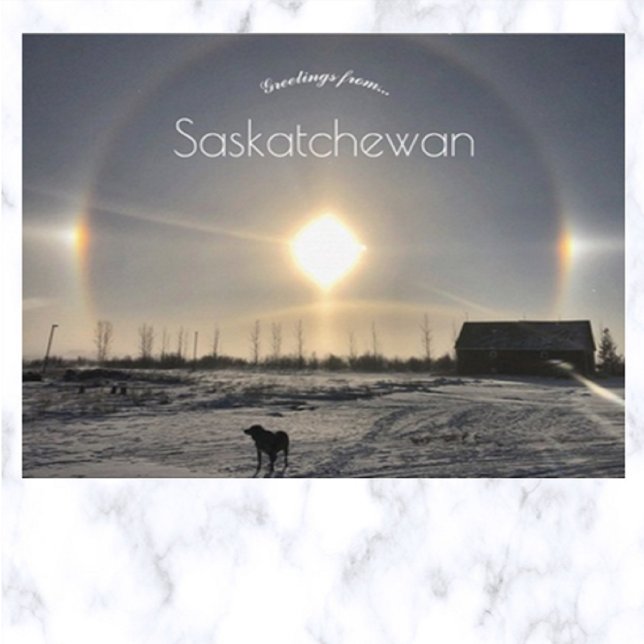 Hund och Sol Hund i Archydal Saskatchewan Kanada Vykort (Skapare uppladdad)