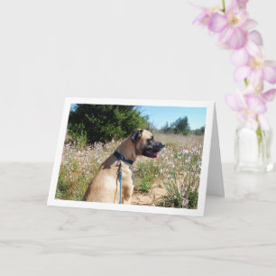 Hund och Wildblommor Porträtt Kort