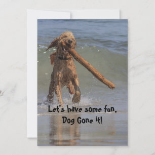 Hund om Beach Inbjudningar