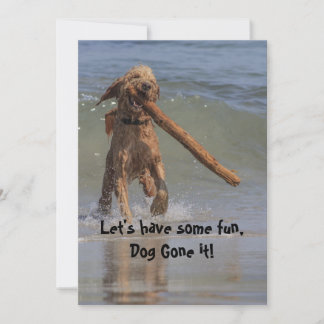 Hund om Beach Inbjudningar